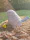 tuinbeeld mus , beton - 7 - Thumbnail