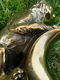 wandelstok met bronzen handgreep - 7 - Thumbnail