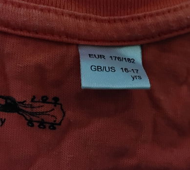 Oranje zomerhemd - shirt - met afbeelding hond - 1