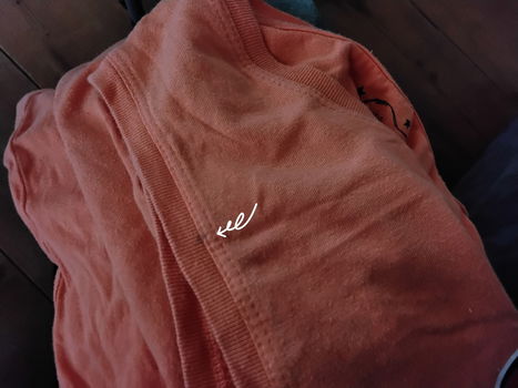 Oranje zomerhemd - shirt - met afbeelding hond - 2
