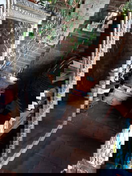 SPIEGEL: 140 x 76 - 4