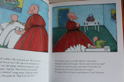 Varkentje krijgt gips - 3
