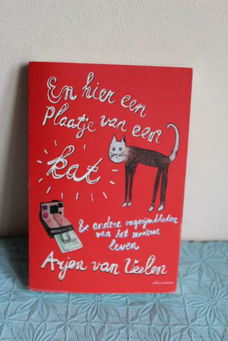 En hier een plaatje van een kat