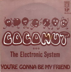 The Electronic System – Coconut (1973)