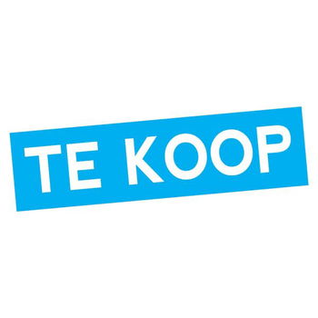 LP - MUZIEK van Jan, Ton en Willemien Klijs - 1