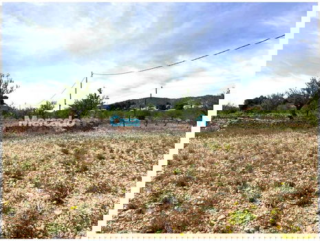 Spanje, Pinoso, Alicante: Bouwkavel van 10.000m2 - 2