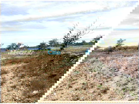 Spanje, Pinoso, Alicante: Bouwkavel van 10.000m2 - 1