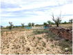 Spanje, Pinoso, Alicante: Bouwkavel van 10.000m2 - 1 - Thumbnail