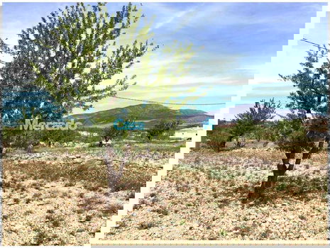 Spanje, Pinoso, Alicante: Bouwkavel van 10.000m2 - 0