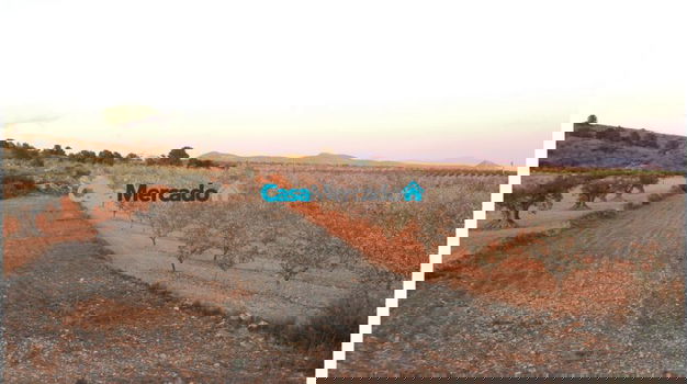 Spanje, Pinoso/Yecla Investering : Finca van 800 m² met 37 voetbalvelden, - 4