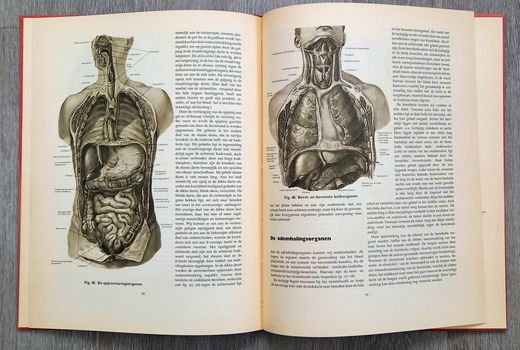 Anatomische atlas voor opleiding verplegenden en EHBO - 0