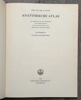 Anatomische atlas voor opleiding verplegenden en EHBO - 2