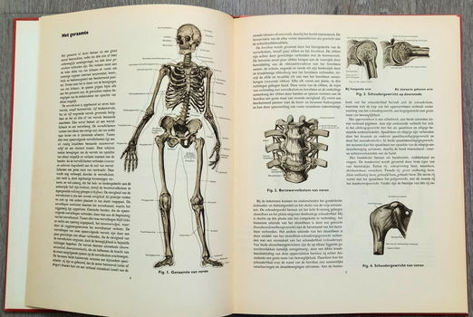Anatomische atlas voor opleiding verplegenden en EHBO - 3