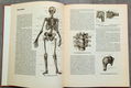 Anatomische atlas voor opleiding verplegenden en EHBO - 3 - Thumbnail