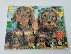 Legpuzzel teckel