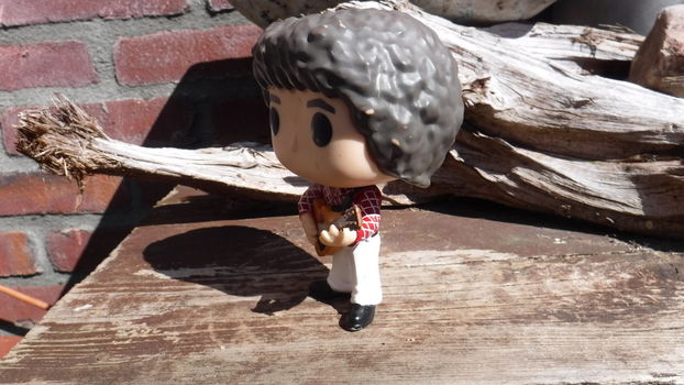 Funko pop Greg Brady V - 1