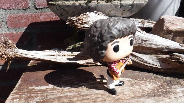 Funko pop Greg Brady V - 3
