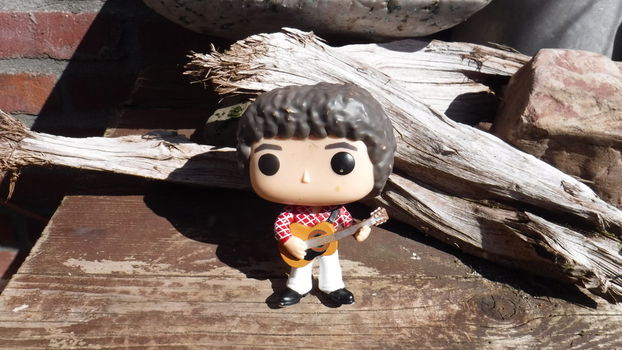 Funko pop Greg Brady V - 4