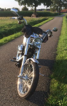 Harley-Davidson 1450 twincam, bwj. 2001, carbu, softailframe, deuce - 3