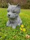 schatig tuinbeeldje van een puppy hondje - 0 - Thumbnail