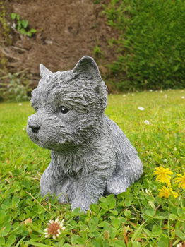 schatig tuinbeeldje van een puppy hondje - 1