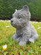 schatig tuinbeeldje van een puppy hondje - 5 - Thumbnail