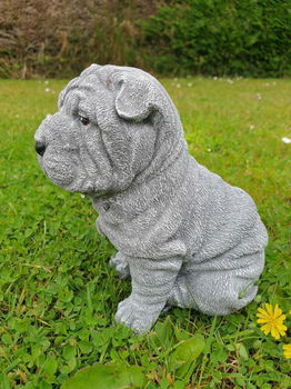 puppy , shar-pei , tuinbeeld - 4