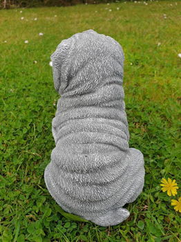 puppy , shar-pei , tuinbeeld - 5