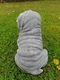 puppy , shar-pei , tuinbeeld - 5 - Thumbnail