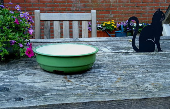 Emaille schaal - bak - reseda groen - geëmailleerd - 1
