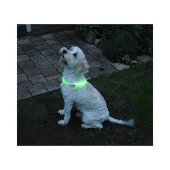 USB oplaadbare led verlichtingsbuis voor de hond - 0