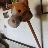 stokpaardje, voor de jongen paardenliefhebber