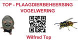 Houtwormbestrijding, Boktorbestrijding - 1 - Thumbnail