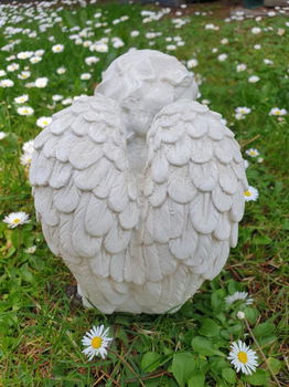 engel van beton , tuinbeeld - 2