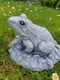 tuinbeeld van een kikker , beton - 0 - Thumbnail