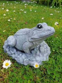 tuinbeeld van een kikker , beton - 1