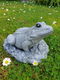 tuinbeeld van een kikker , beton - 1 - Thumbnail