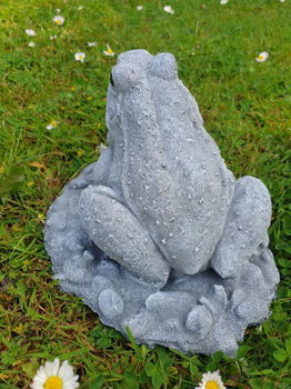 tuinbeeld van een kikker , beton - 2