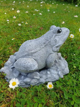 tuinbeeld van een kikker , beton - 3