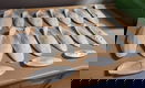 Te koop 17 grote stukken zeeschuim (Ossa sepia). - 4 - Thumbnail