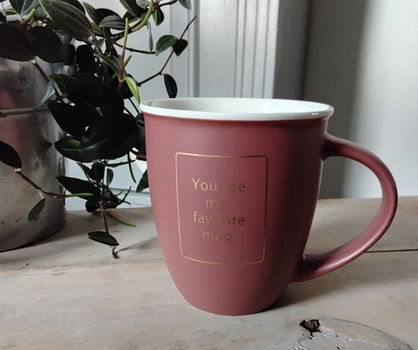 Beker - mok met goudkleurige tekst: you are my favorite mug - 1