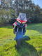 Multistrada V4s travel + radar met veel opties! - 7 - Thumbnail