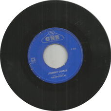 The Spotnicks – Johnny Guitar (1964)
