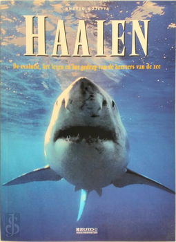 Angelo Mojetta - Haaien - 0