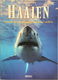 Angelo Mojetta - Haaien - 0 - Thumbnail