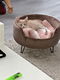 Rode kitten - 1 - Thumbnail