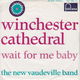 The New Vaudeville Band – Winchester Cathedral (1966) - 0 - Thumbnail