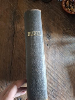 Bijbel uit 1921 - 0