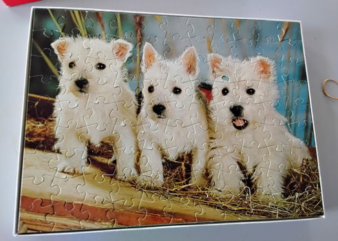 Legpuzzel teckels - 2