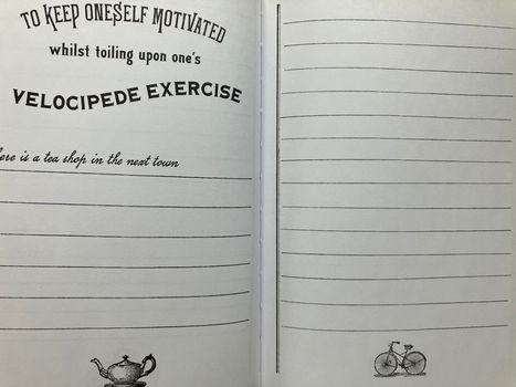 The velocipede and bicycle enthusiast's journal - 3
